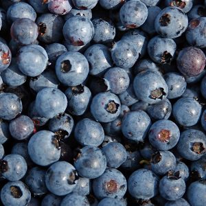 Arándanos orgánicos congelados caja x 125gr