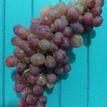 Uvas agroecológicas x 1/2kg