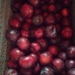 Ciruelas agroecológicas x 500gr OFERTA