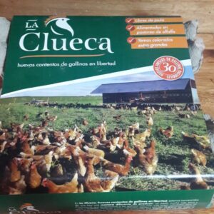 Maple (30 huevos) de huevos de gallinas libres de jaula La Clueca