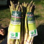 Esparragos orgánicos calibre fino atado x 450gr aprox