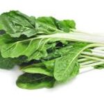 Acelga agroecológica x atado