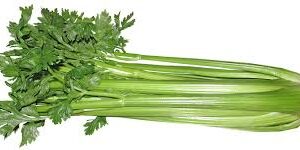 Apio agroecológico x atado