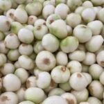 Cebolla blanca orgánica certificada Puente Blanco x kg