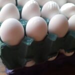 Maple de 30 huevos blancos grandes. Cooperativa del Árbol