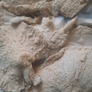 Milanesas de Gírgolas agroecológicas x  300 gr aprox