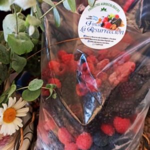 Mix de frutos rojos agroecológicos congelados