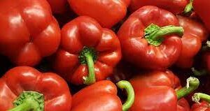 Morrón rojo agroecológico x 1/2kg