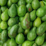 Paltas Torres agroecológicas x 400/500gr