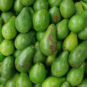 Paltas Torres agroecológicas x 1kg