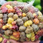 Mix de papines agroecológicos  x 500gr