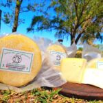 Queso de cabra fresco agroecológico cuña x 250gr aprox