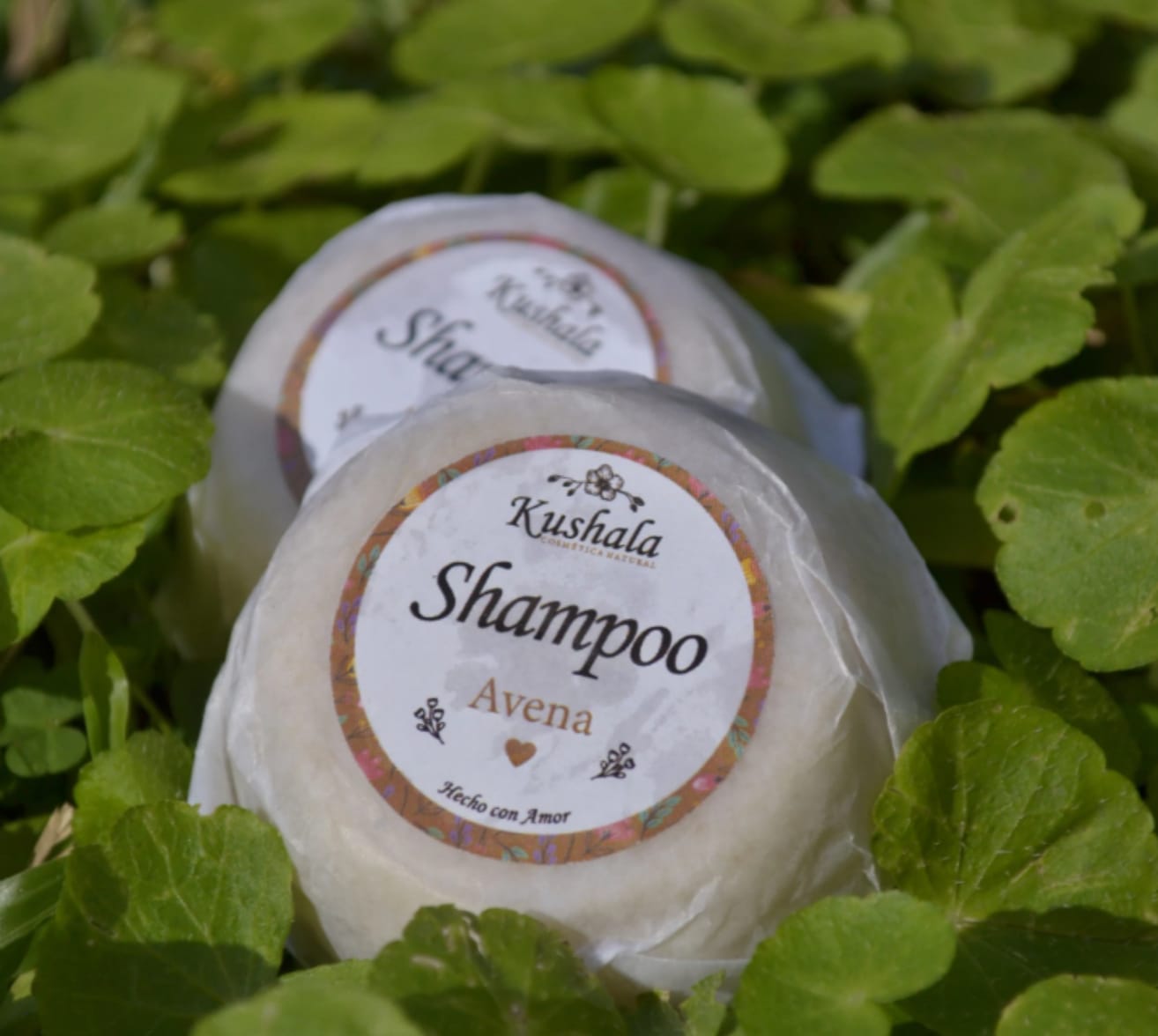 Klorane Fester Shampoo-Bar Estrema Morbidezza Mit Bio-Hafer – Für Empfindliche Kopfhaut & Weiches Haar